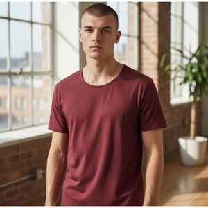 Athletic Propulsion Labs APL The Perfect Wool Blended Tee Burgundy Men's Medium